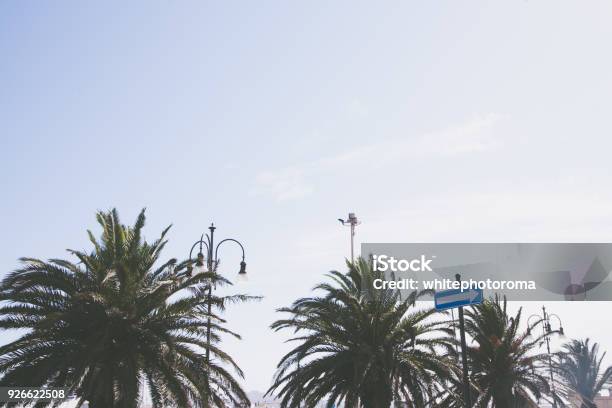 View Of The Sky With Palm Trees And Arrow Direction Stock Photo - Download Image Now