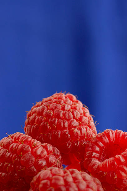 Raspberries on blue background stock photo