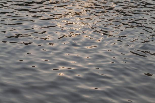 istock outdoor water reflection in the pond at thailand 926629682