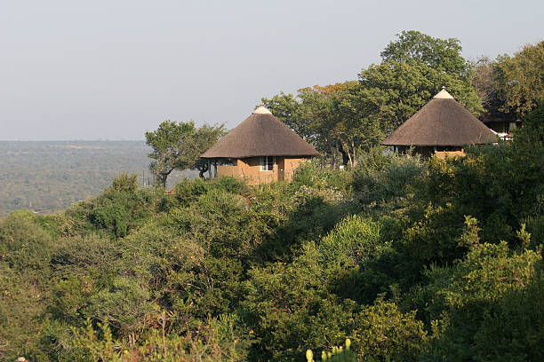 istock bungalows in the bush 92663058