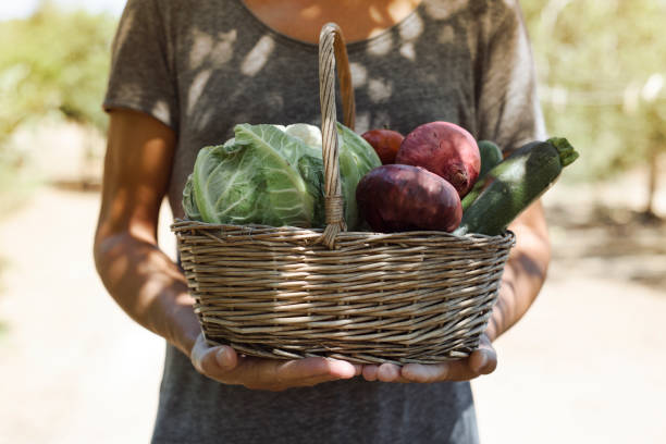 istock young man with a basket full of vegetables 926636544