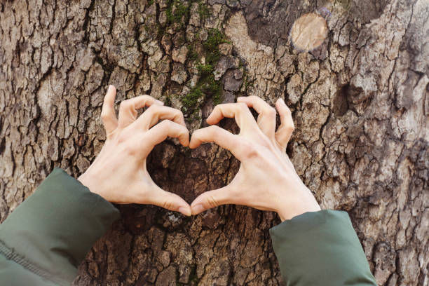 Hands in shape of love heart