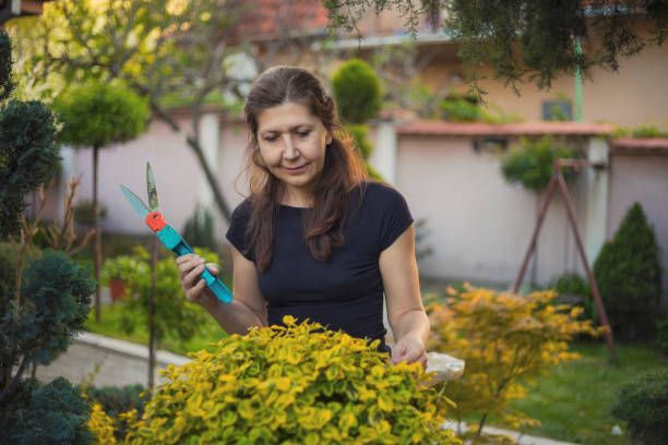 istock Beautiful Ornamental Garden 926643922