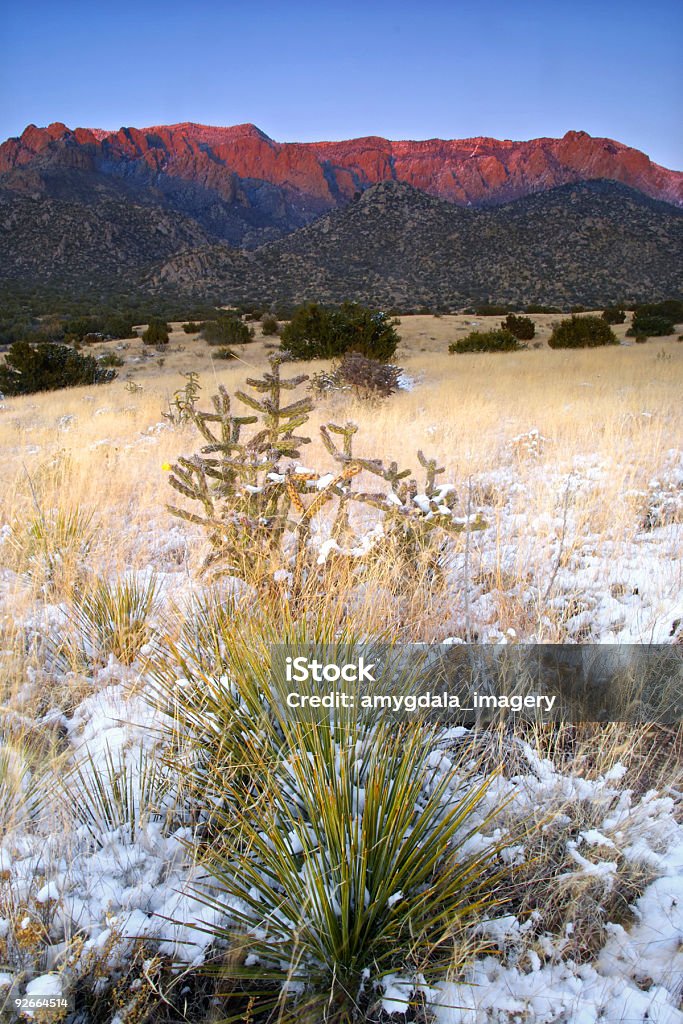 Пейзаж закат - Стоковые фото Beargrass роялти-фри
