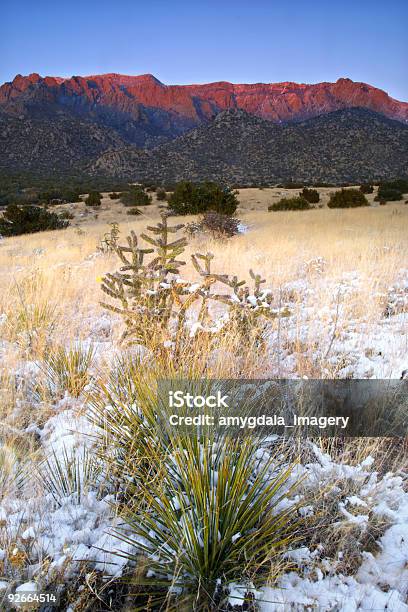 Пейзаж Закат — стоковые фотографии и другие картинки Beargrass - Beargrass, Альбукерке - Нью-Мексико, Без людей