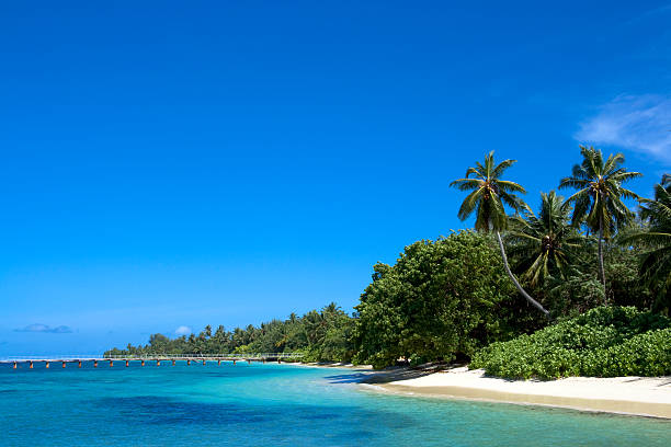 istock Coast of Indian ocean 92664679