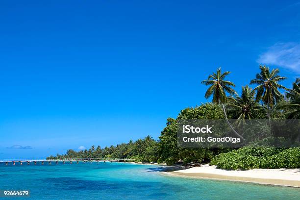 Wybrzeżu Oceanu Indyjskiego - zdjęcia stockowe i więcej obrazów Bezchmurne niebo - Bezchmurne niebo, Chmura, Drzewo