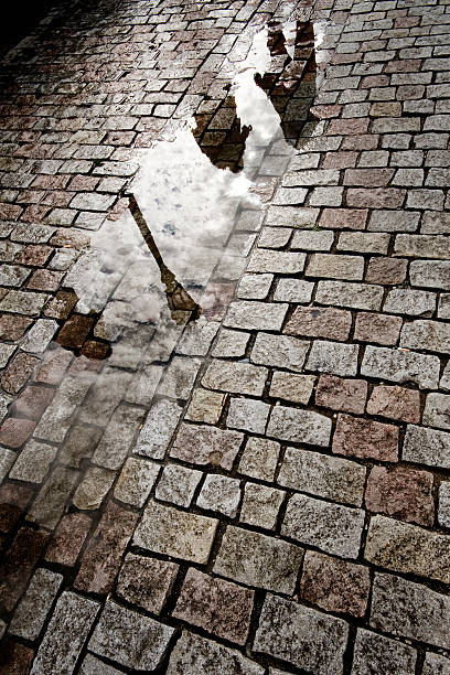 Wet street in Prague stock photo