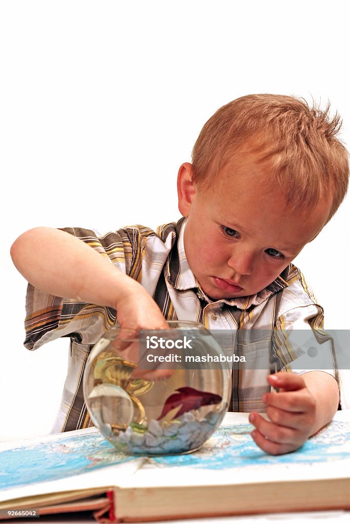 Investigating the world  Beach Stock Photo