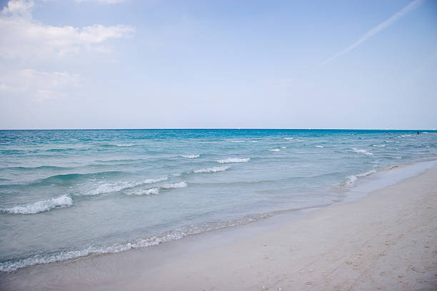 Caribbean Beach - foto de acervo