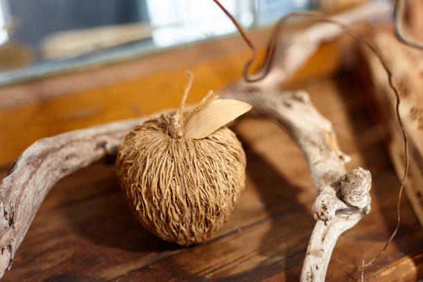 istock Wooden apple and a snag. 926653774