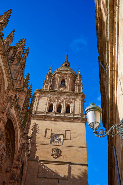 istock Salamanca Cathedral facade in Spain 926660324