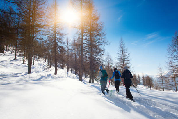 прогулка по свежему снегу со снегоступами трех подруг - snowshoeing hiking mountain winter стоковые фото и изображения