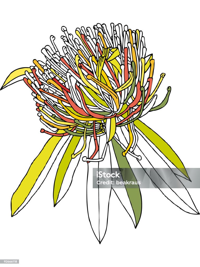 カラフルな花頭 - イラストレーションのロイヤリティフリーストックイラストレーション