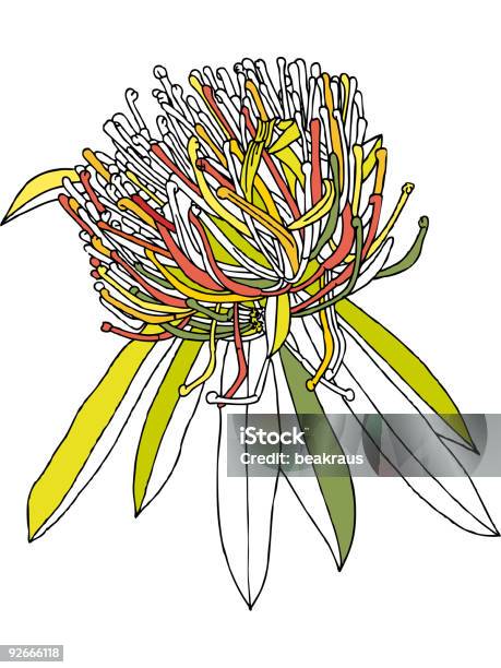 カラフルな花頭 - イラストレーションのベクターアート素材や画像を多数ご用意 - イラストレーション, オレンジ色, カラフル