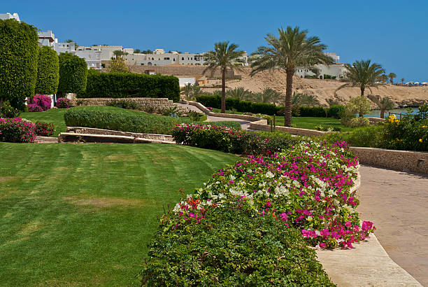 istock Scenery from a Hotel in Sharm El Sheikh 92666528