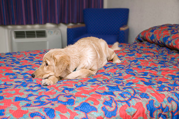 istock Travel Exhaustion 92666578