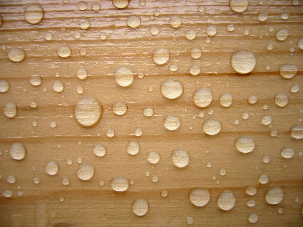 Timber background stock photo