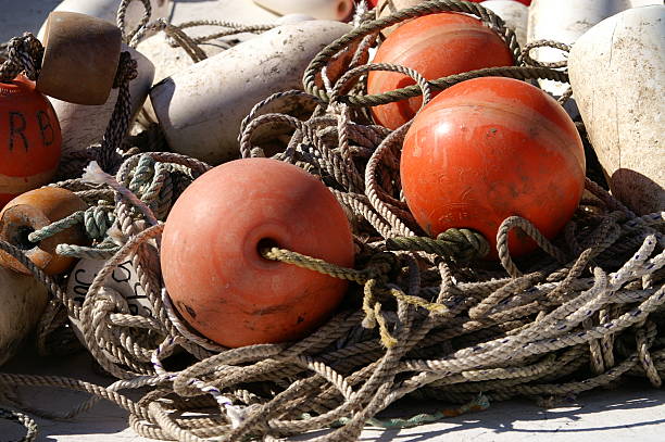 istock Camden Maine Bouy Gathering 92667796