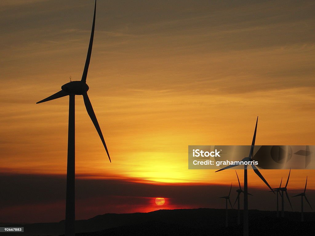Wind turbines  Color Image Stock Photo
