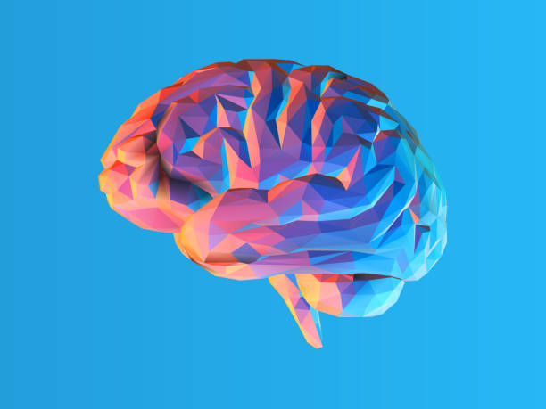 Low poly brain illustration isolated on blue BG Colorful low poly side view brain illustration isolated on blue background low poly modelling illustrations stock illustrations