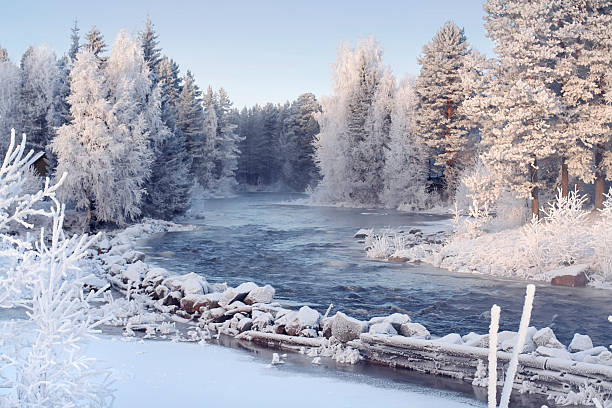 hermoso paisaje de invierno - república de karelia rusia fotografías e imágenes de stock