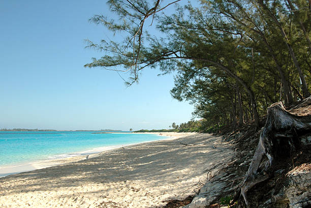 istock Shady Beach in the Bahamas 92668618