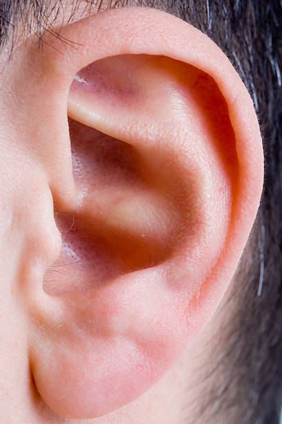 istock closeup of a man ear in color 92668713