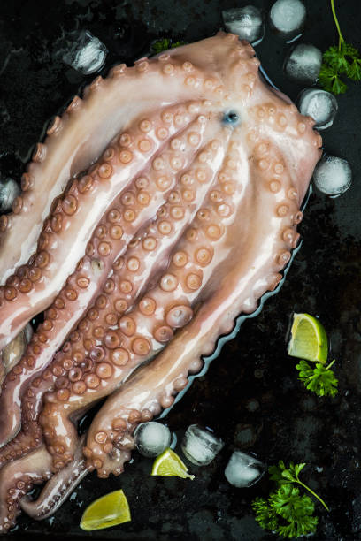 istock Whole seafood octopus with ice and lime 926689566