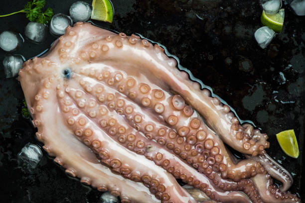 istock Whole seafood octopus with ice and lime 926690078