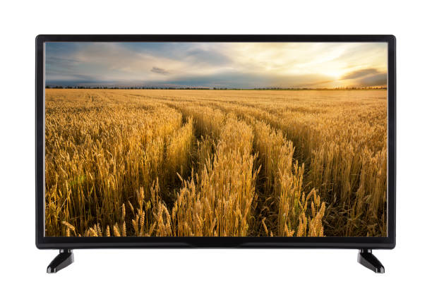 istock Modern flat TV with a road in ripe wheat ears on the screen 926690140