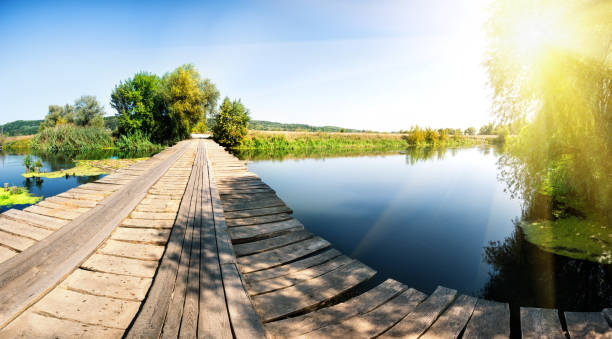 istock Wooden bridge over river with green trees under bright sun 926693524