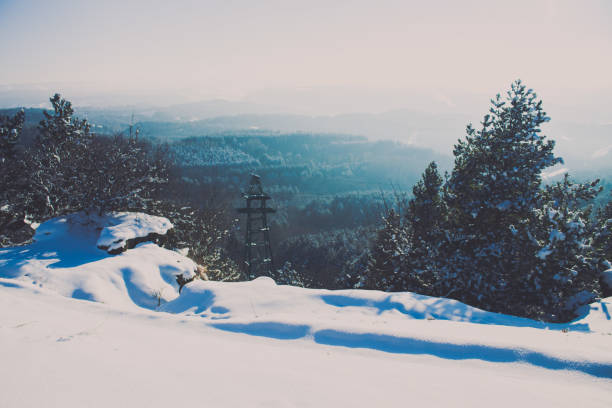 istock Winter forest landscape from the mountain. 926704242