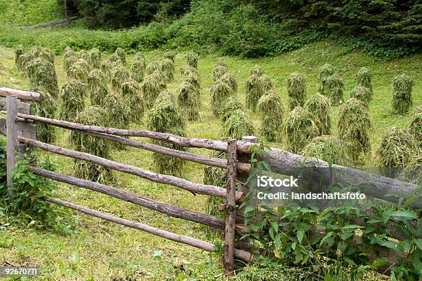 Heuernte In Tiroldel Lechtal - Fotografie stock e altre immagini di Ambientazione esterna - Ambientazione esterna, Colore verde, Composizione orizzontale