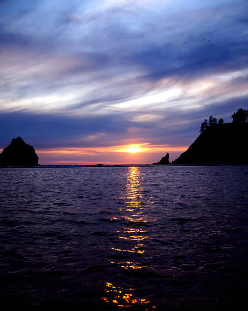 istock Olympic National Park, Oregon 92670924