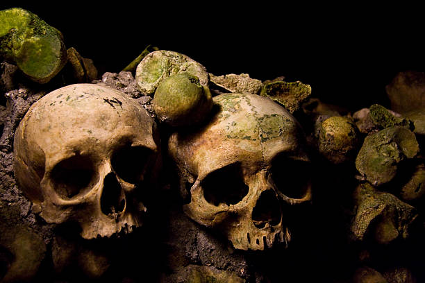 High Angle View Of Skulls On Ground