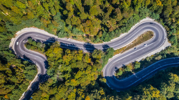 istock Curved road trough the forest 926715852