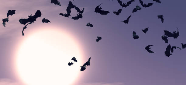 Halloween Backgrounds with Bats stock photo