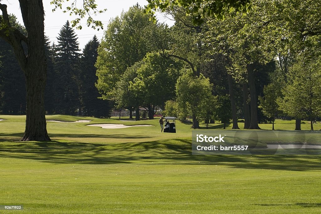 Lone golf - Foto stock royalty-free di Albero