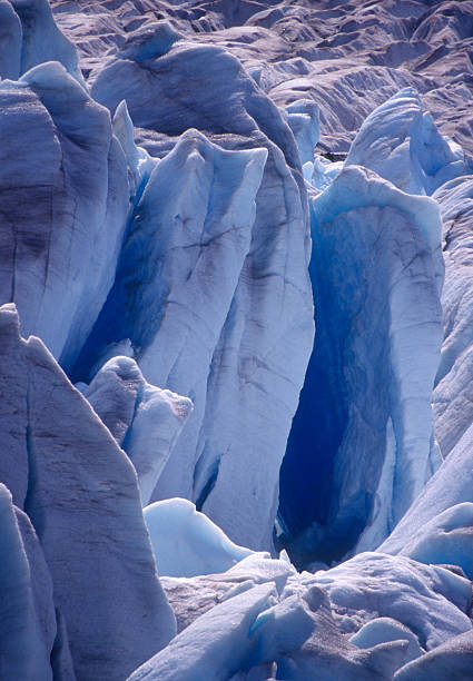 Mendenhall Glacier detail stock photo