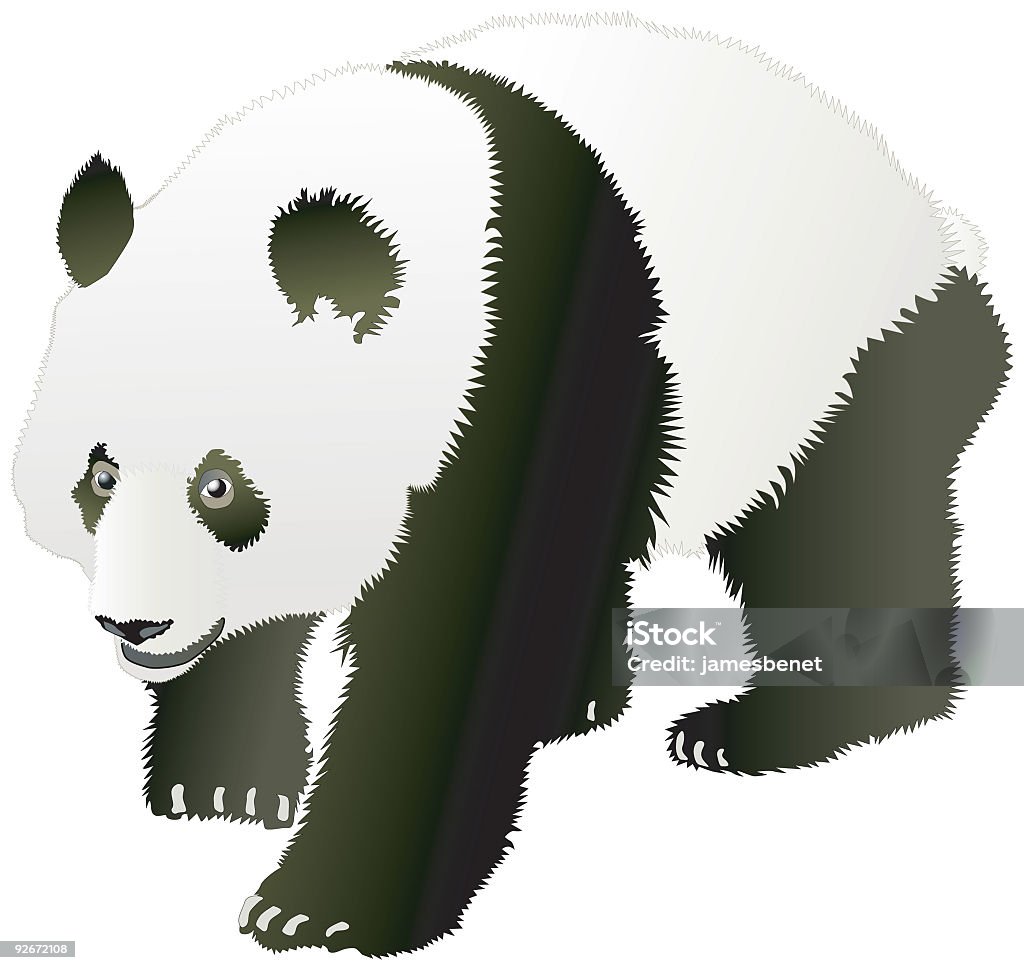 Panda (vecteur - Illustration de Panda - Mammifère terrestre libre de droits