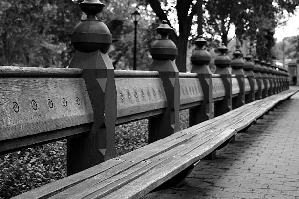 Central Park Bench stock photo