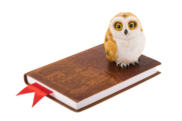 istock Decorative owl standing on a leather notebook with red bookmark, symbol of wisdom 926721898