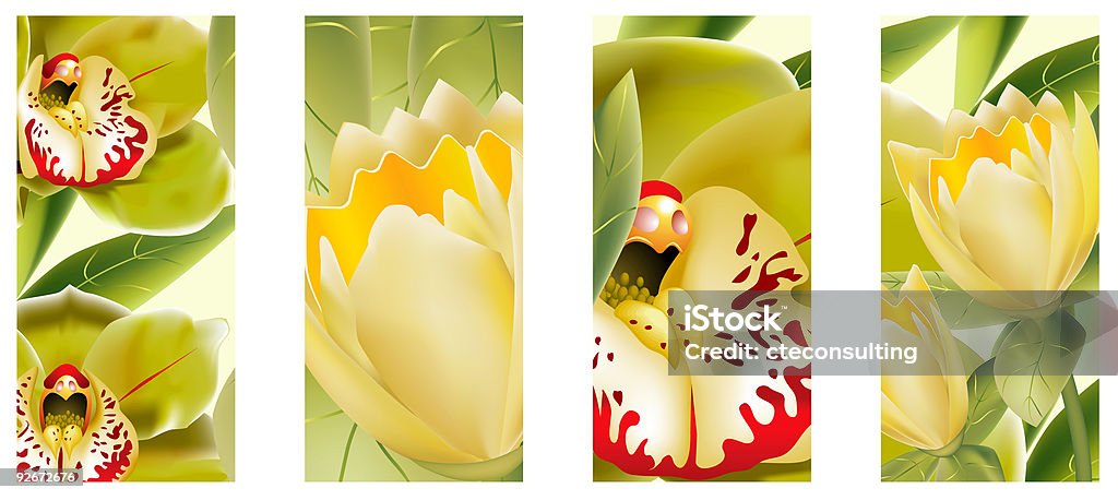 Orchids y amarillo tulipanes - Ilustración de stock de Arreglo libre de derechos