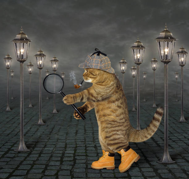 istock Cat with a magnifying glass 2 926727560