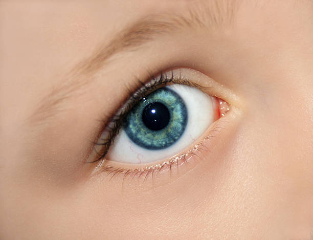 istock eye of a kid 92673035