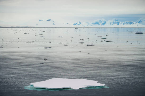 南極に浮かぶ巨大な氷山 - uncultivated snow ice antarctica ストックフォトと画像