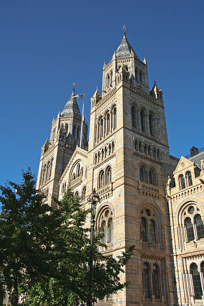 istock Museum of Natural History - London 92673646