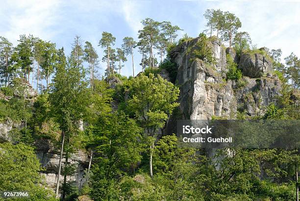 Rocks In The Wood Stock Photo - Download Image Now - Blue, Chalk - Rock, Color Image