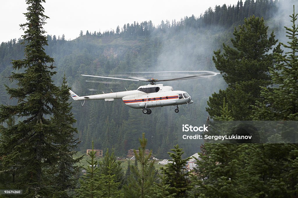 Elicottero di soccorso - Foto stock royalty-free di Bosco